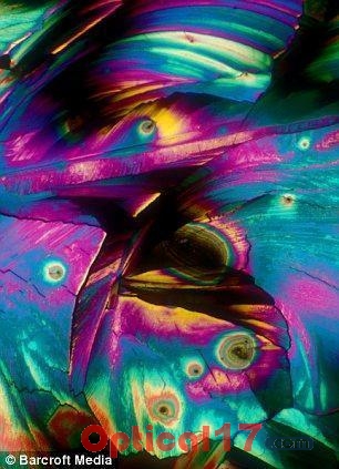 顯微鏡下的冰鎮(zhèn)果汁朗姆酒