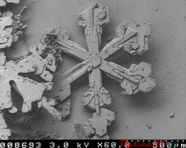 具有扇形末端的星狀晶體 