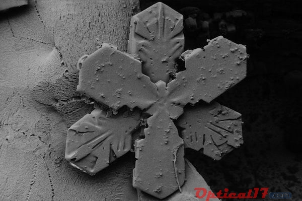 電子顯微鏡下的雪花結(jié)構(gòu)