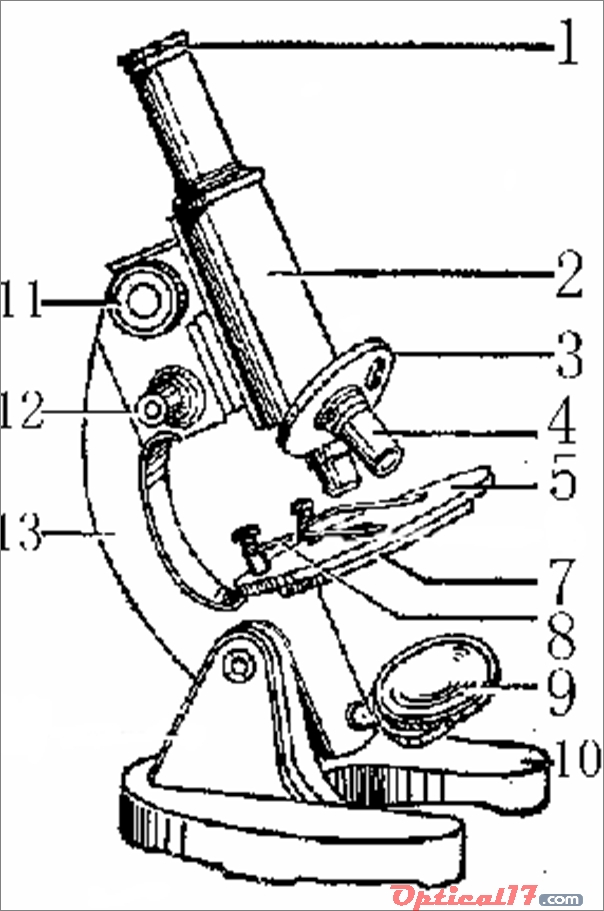 光學顯微鏡的機構