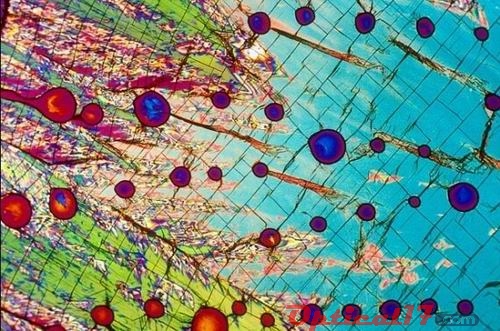 顯微鏡下的Vodka 伏特加