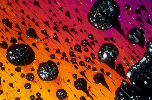 顯微鏡下的酒精飲料：色彩絢麗展現(xiàn)驚艷之美