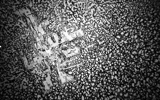 學生顯微鏡下的微觀大世界——眼淚