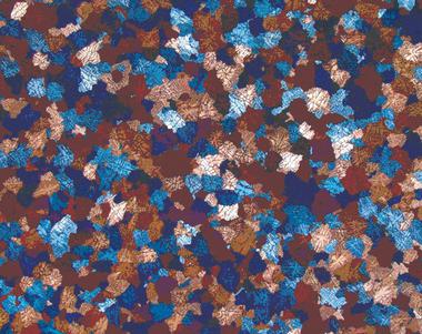 徠卡顯微鏡如何觀察金屬和合金的顯微結(jié)構(gòu)特征