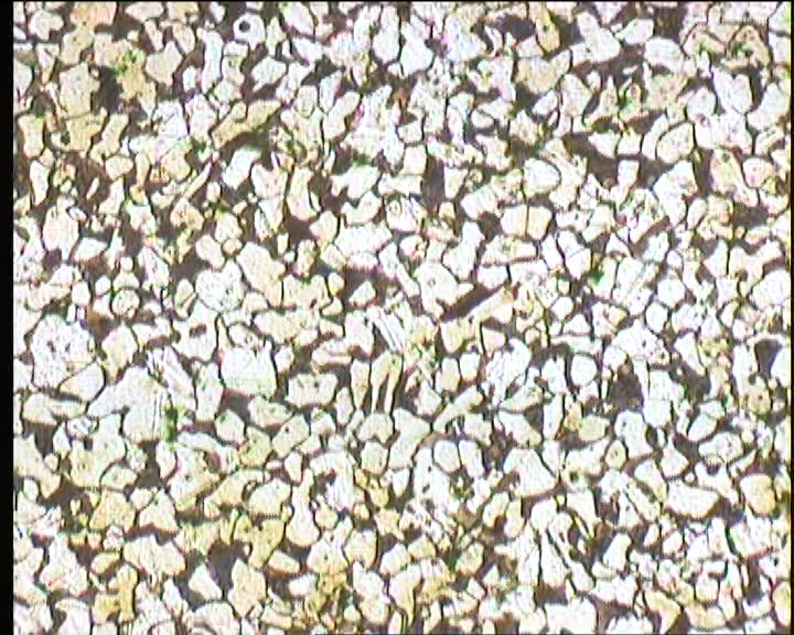 金相顯微鏡拍攝的金相組織圖譜