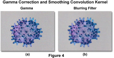 奧林巴斯顯微鏡，數(shù)字圖像處理的推薦策略