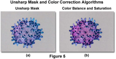 奧林巴斯顯微鏡，數(shù)字圖像處理的推薦策略