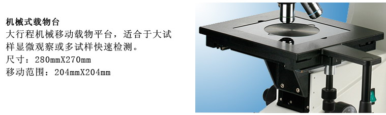 XTL-302BD明暗場正置金相顯微鏡