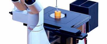 為什么說顯微鏡和社會與時俱進？