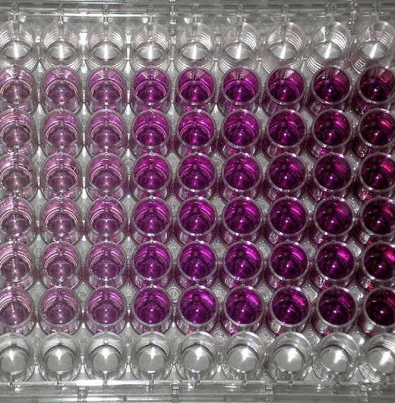 MTT中使用的三聯(lián)液怎么用英文表述？ 