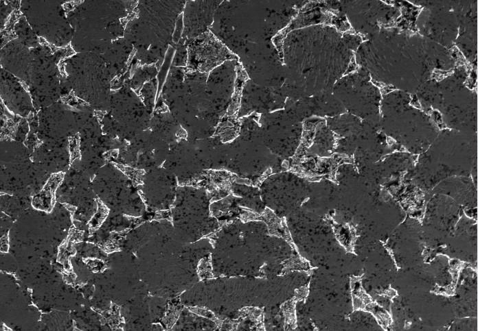 碳鋼金相組織形貌