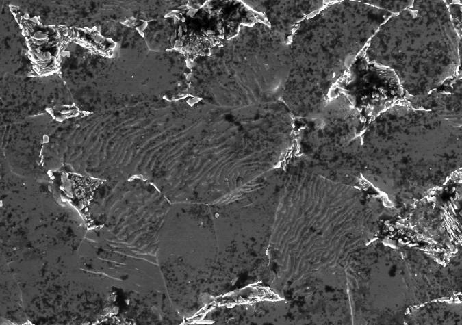 放大2200倍的碳鋼組織