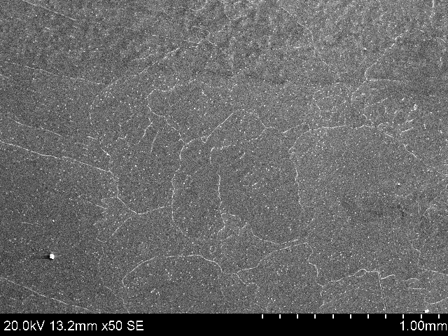 工業(yè)純鋁中加入CuO澆鑄冷卻后形成的樹葉狀金相組織是否正常?