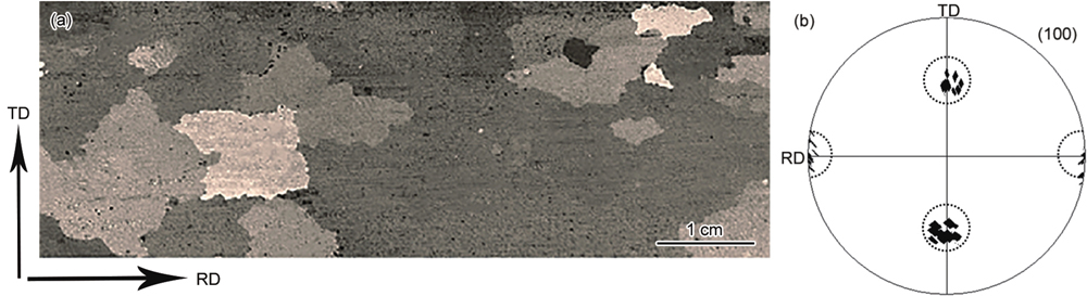 取向硅鋼二次再結(jié)晶過程中的取向選擇行為