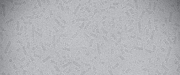 先進的顯微鏡使新的CRISPR-Cas系統大放異彩