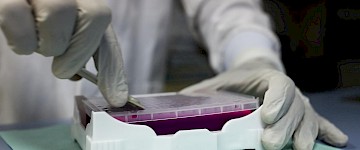 COVID-19對三目光學(xué)顯微鏡市場的影響