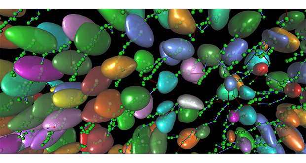 物鏡對(duì)果蠅胚胎進(jìn)行成像