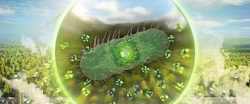 工程細(xì)菌將捕獲的二氧化碳轉(zhuǎn)化為用于燃料、織物和化妝品所需有價(jià)值的化學(xué)品