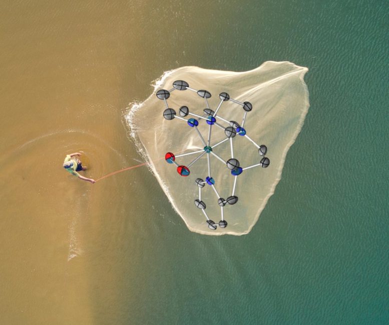 抓住難以捉摸的中間體